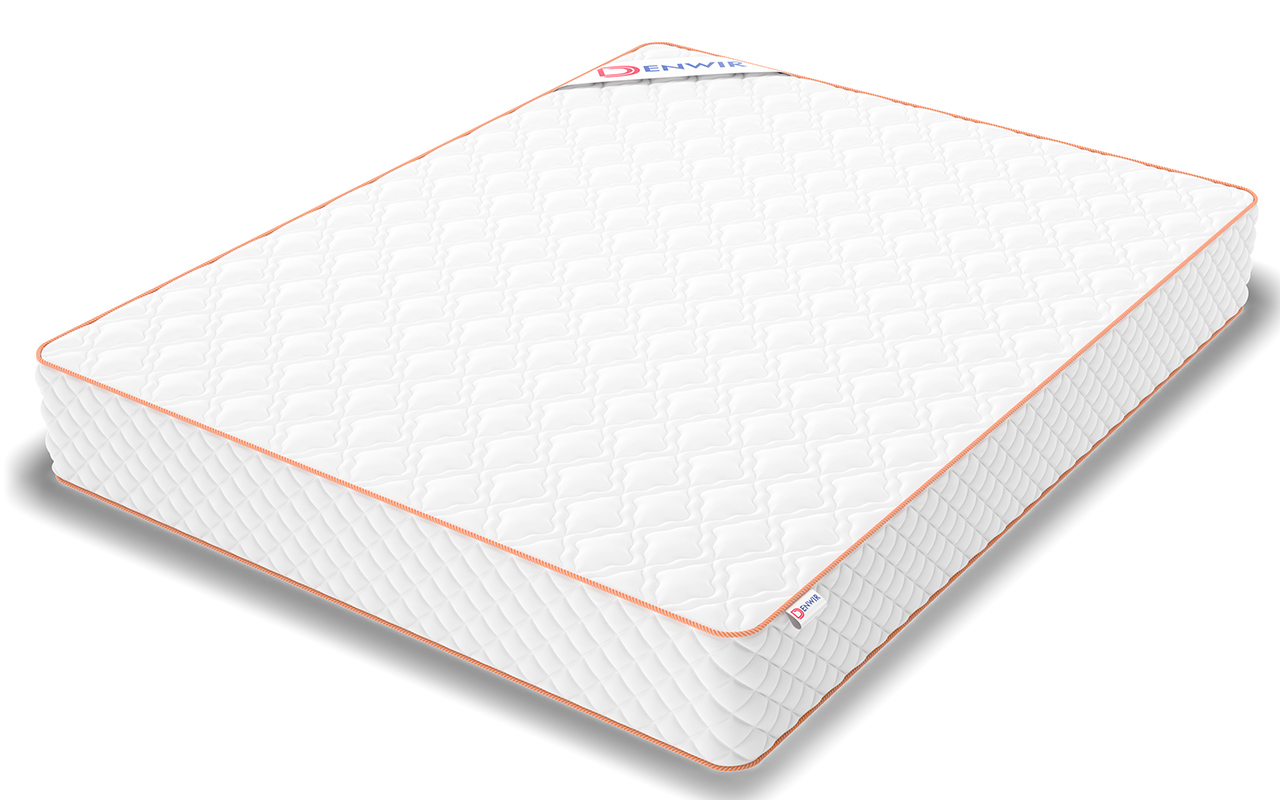 Denwir Top Roll Foam 24 фото 7